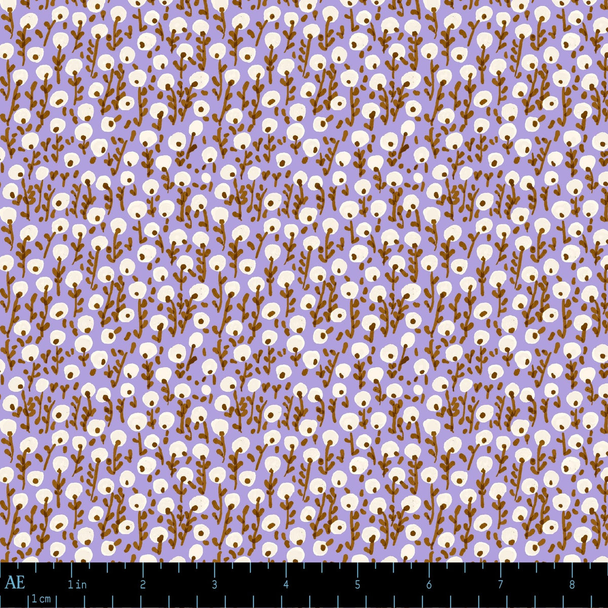Seedling Drift in Evening Crocus