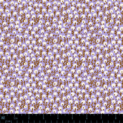 Seedling Drift in Evening Crocus