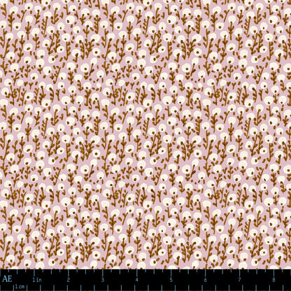 Seedling Drift in Pressed Petal