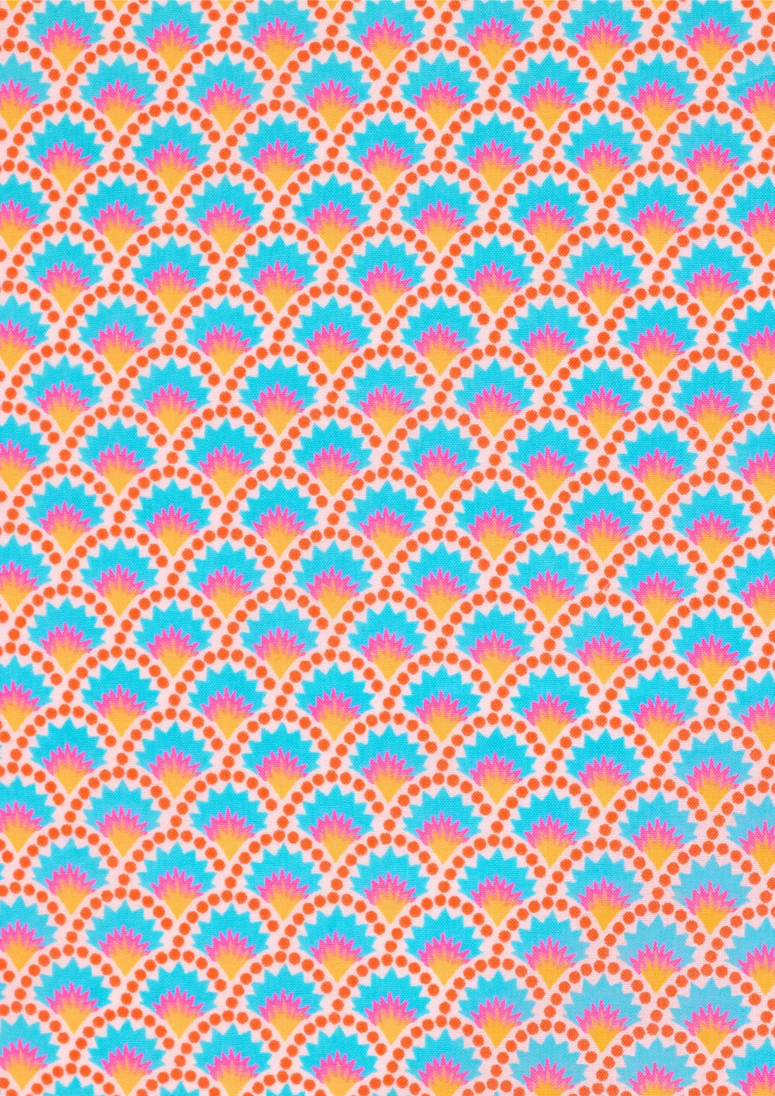 Wasabi Rainbow