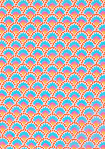 Wasabi Rainbow